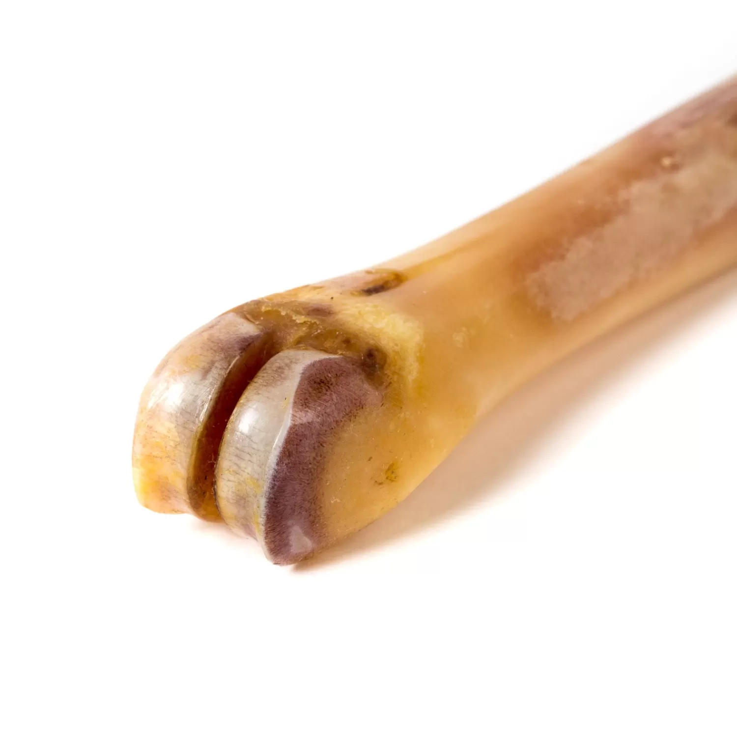 Schuhpflege>Turms Abbeyhorn x : Polierknochen "Shoebone" aus Naturhorn - Handarbeit
